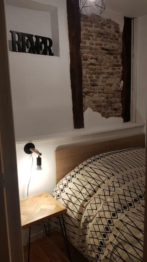 Appartement Avec Cour ★ Spacieux ★ Hyper Centre Castres  Esterno foto